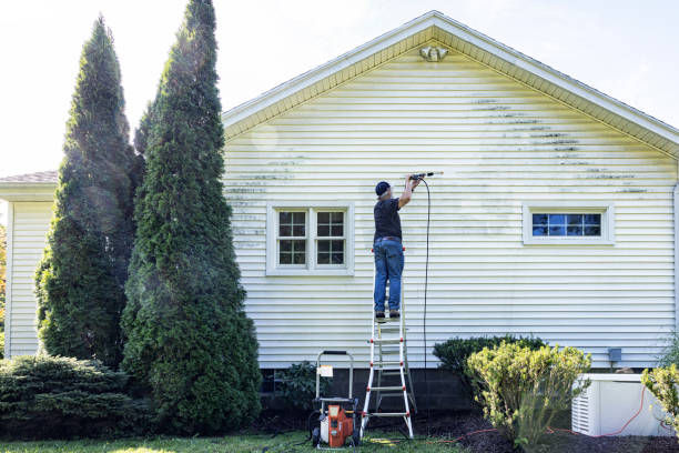 Best Sidewalk and Walkway Cleaning  in Montgomery, IL